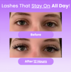 Meylora Magnetic Lashes