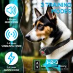 Osmo DoggoFence GPS Wireless Fencing