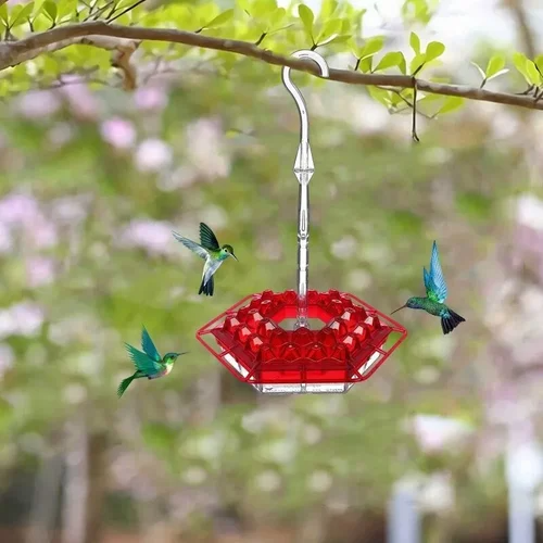 Outfany Sweety Hummingbird Feeder