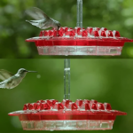 Outfany Sweety Hummingbird Feeder