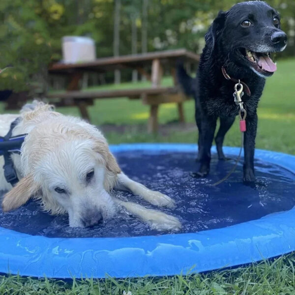 PawzShelve Splash Sprinkler Pad