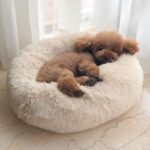 PeacefulPup Calming Dog Bed