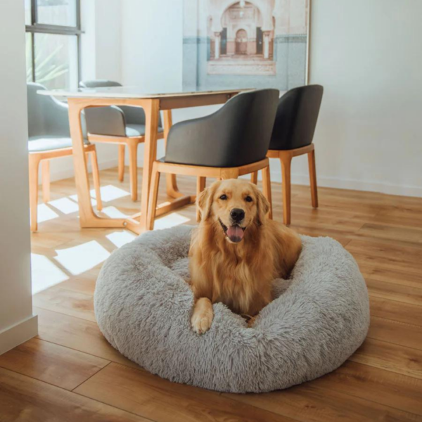 PeacefulPup Calming Dog Bed