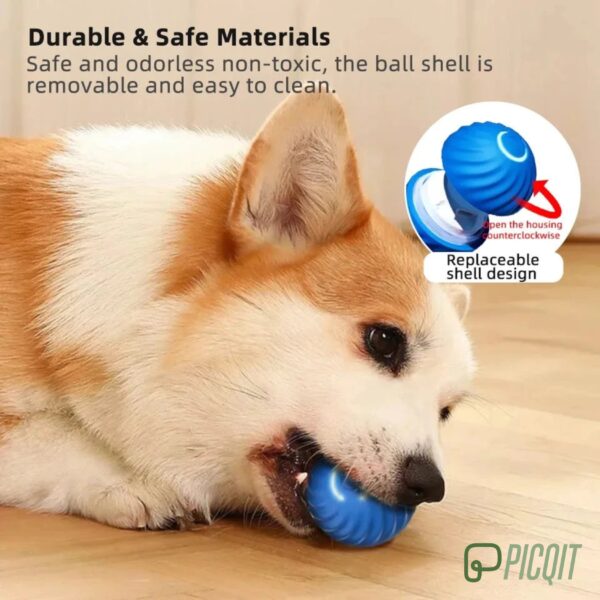 Pet Smart Interactive Ball