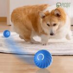 Pet Smart Interactive Ball