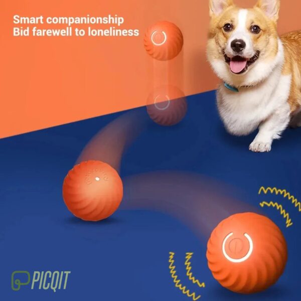 Pet Smart Interactive Ball