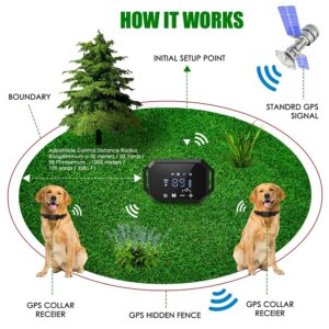 Roam Collar – Wireless Dog Training