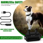 Roam Collar - Wireless Dog Training