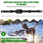 Roam Collar - Wireless Dog Training