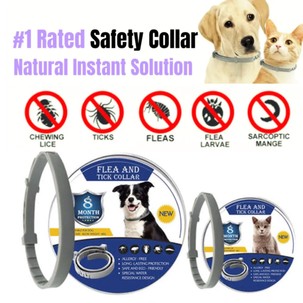 SafeGuard Pets Extended Protection Flea and Tick Collar