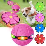 The Doggy Disc Ball