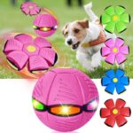 The Doggy Disc Ball