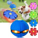 The Doggy Disc Ball