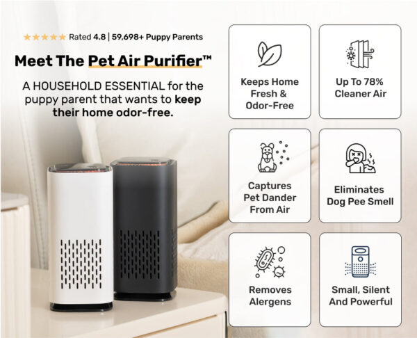 The Pet Air Purifier