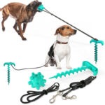 TugFun - dual tug leash toy