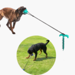 TugFun - dual tug leash toy