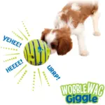 Wags and Giggle Glow Ball