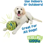 Wags and Giggle Glow Ball