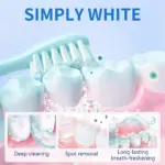 49% OFF - Teeth Whitening Powder | Instant Whitening and Stain Removal