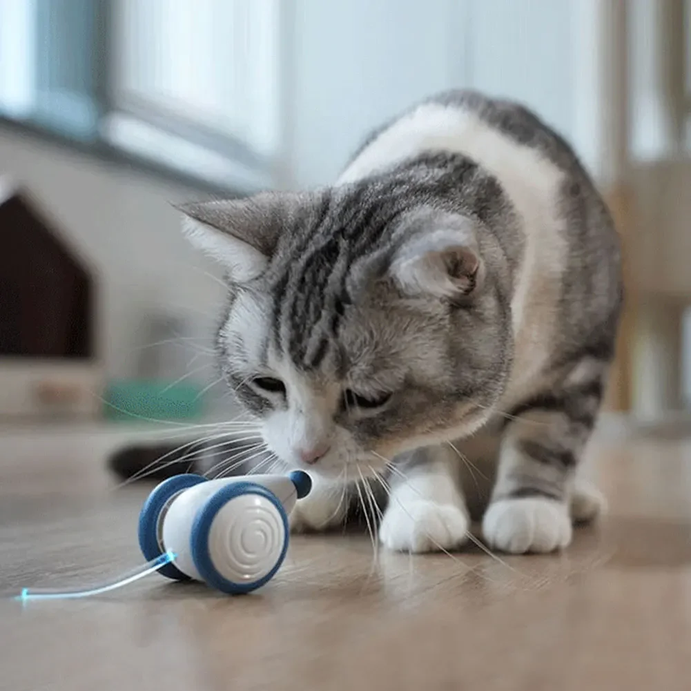 Auto-Mouse AI Cat Toy