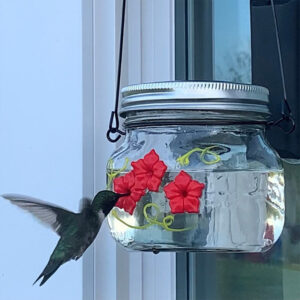 Beautiful Mason Jar Hummingbird Feeder