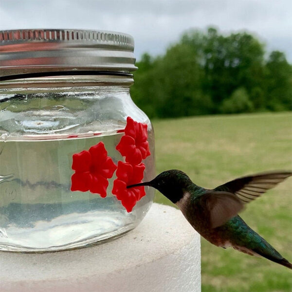 Beautiful Mason Jar Hummingbird Feeder