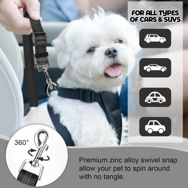 Dog Car Safety Kit