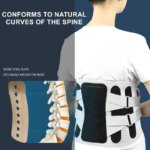 Dotmalls core back brace