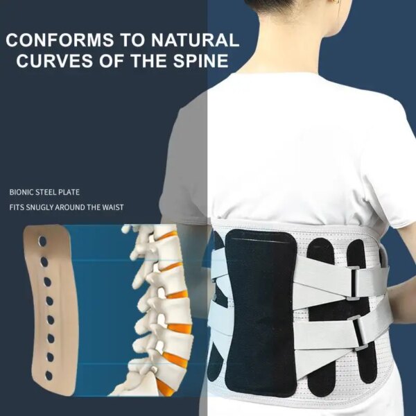 Dotmalls core back brace