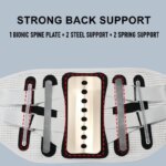 Dotmalls core back brace