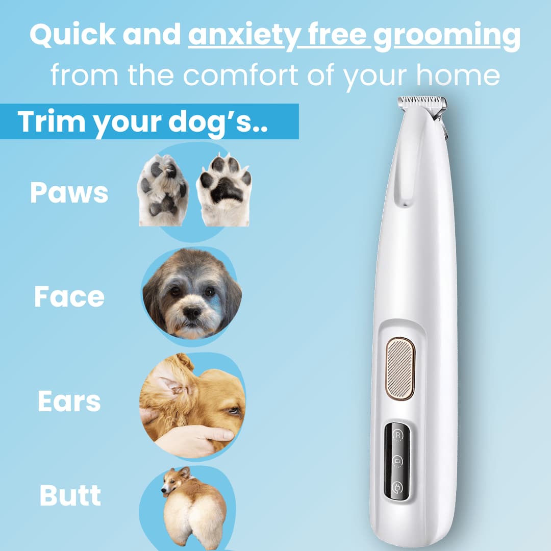 Electric Quiet Dog Trimmer