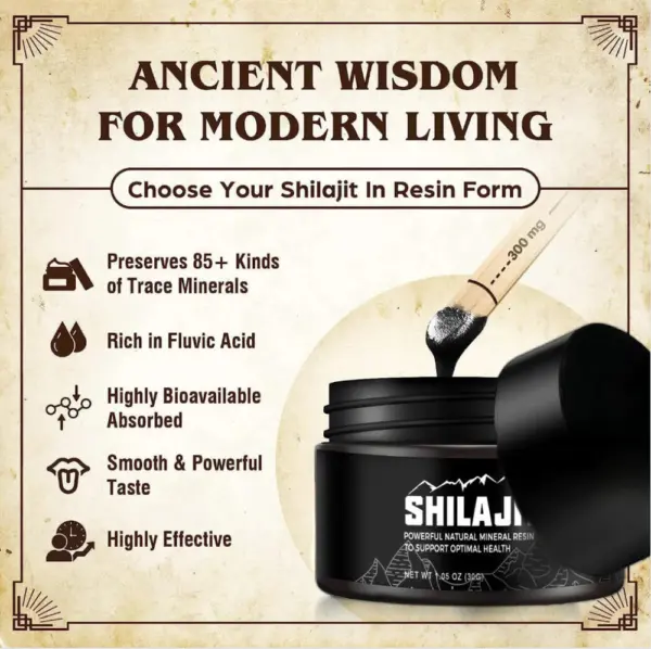 Himalizen Pure Shilajit