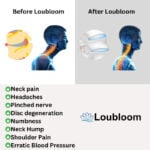 Loubloom Neck Stretcher