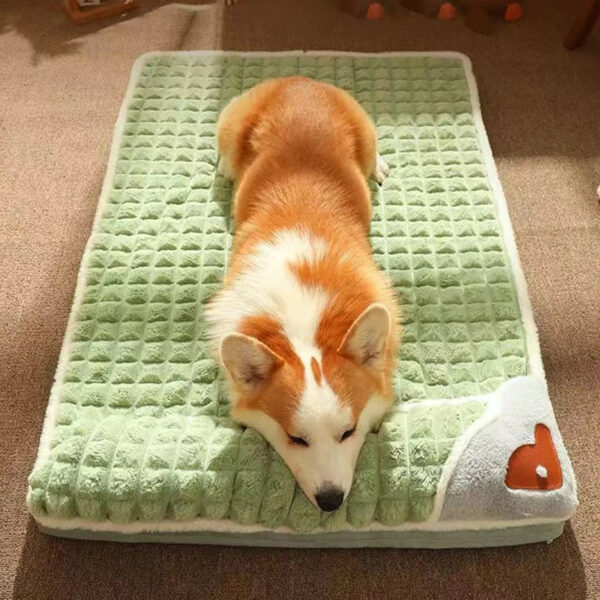 Memory Foam Dog Bed