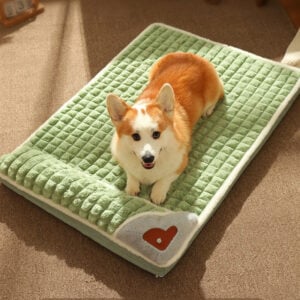 Memory Foam Dog Bed