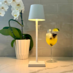 Mylaras Wireless Lampshade Light