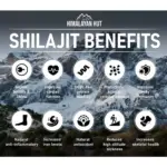 Mystic Shilajit -NATURAL SHILAJIT RESIN