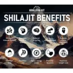 Mystic Shilajit -NATURAL SHILAJIT RESIN