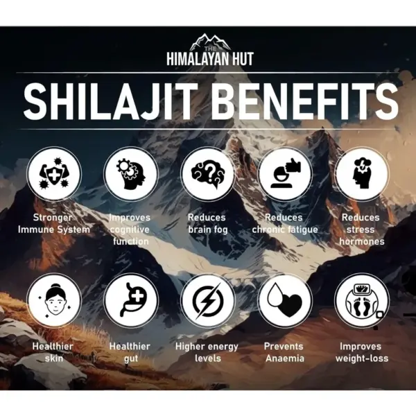 Mystic Shilajit -NATURAL SHILAJIT RESIN