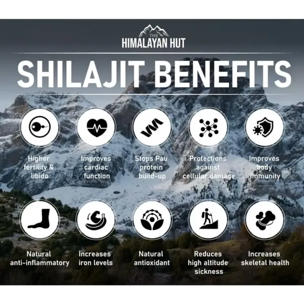 Nurojit - PURE SHILAJIT RESIN