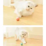 Onyxio | Automatic Cat Ball