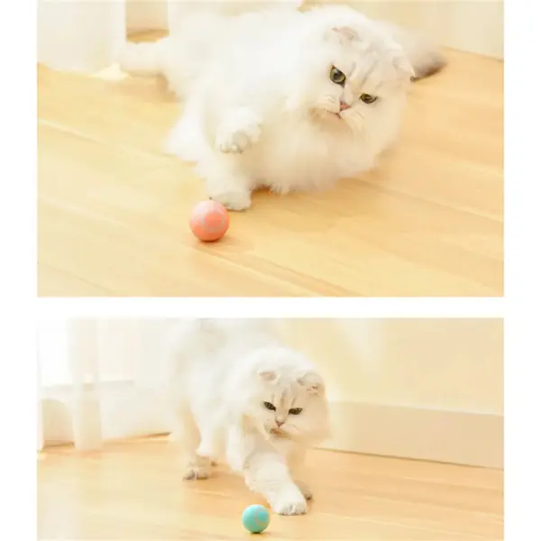 Onyxio | Automatic Cat Ball