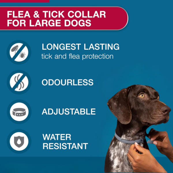 Osmo Flea Collar