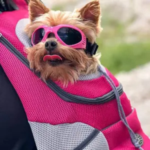 PawsLover Pet Backpack Carrier