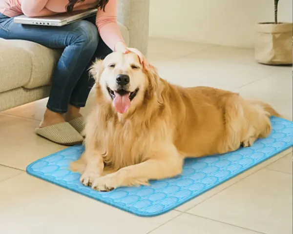 PawsLover™ Pet Cooling Summer Mat