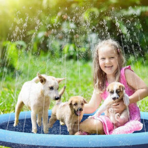 Pawsome Puddle Splash Pad