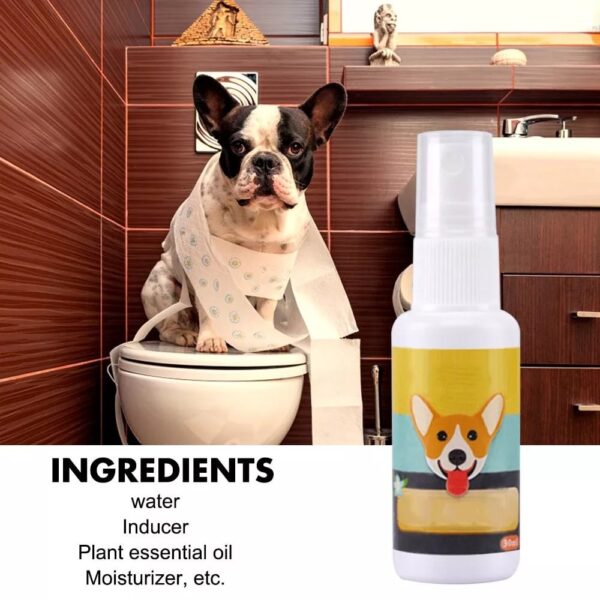 Pet Training Spray