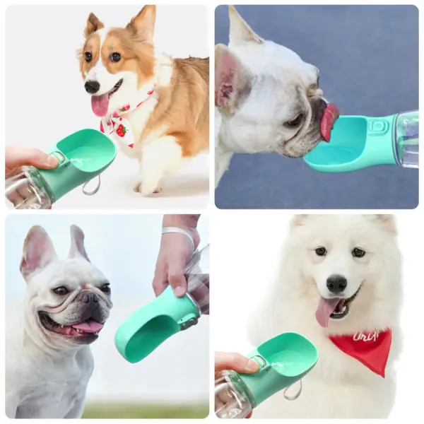 Pet Travel Buddy Water Bottle