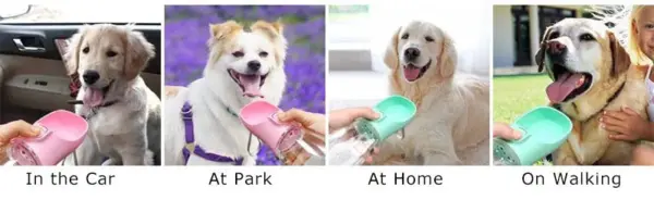 Pet Travel Buddy Water Bottle