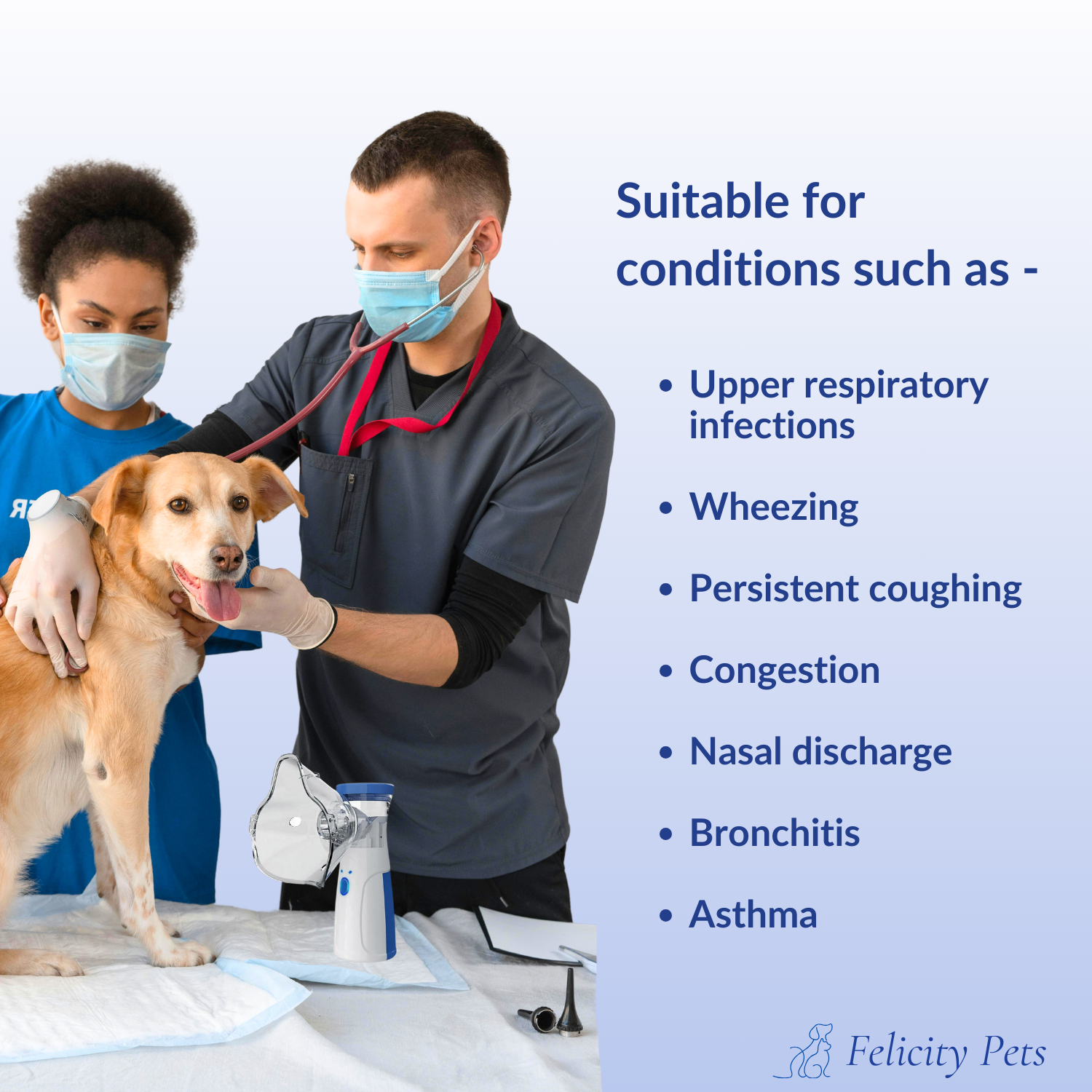 PetAirCare Portable Silent Nebulizer For Pets